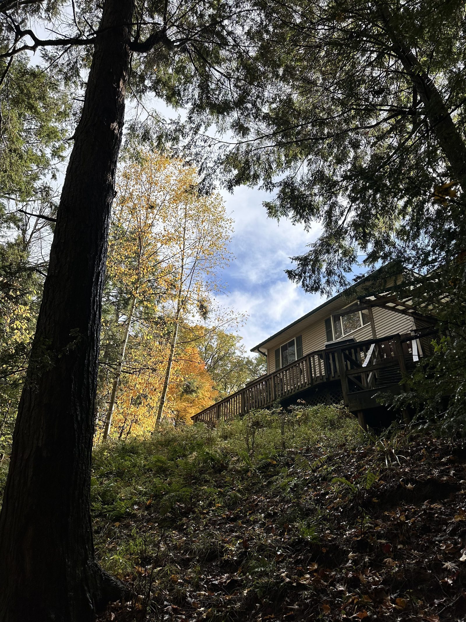 The back of the house, fall