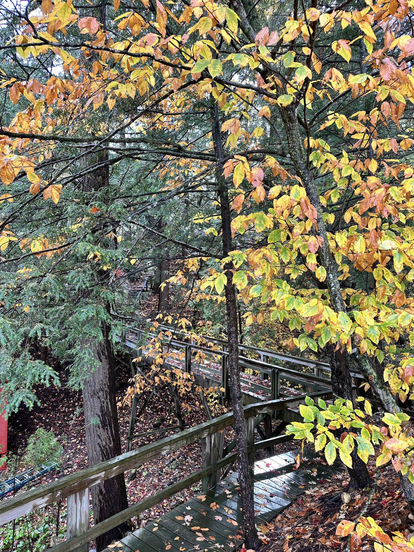 The footbridge, another fall angle
