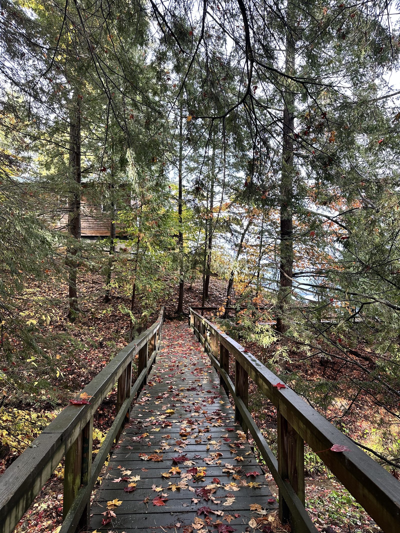 The footbridge, with a house visible beyond