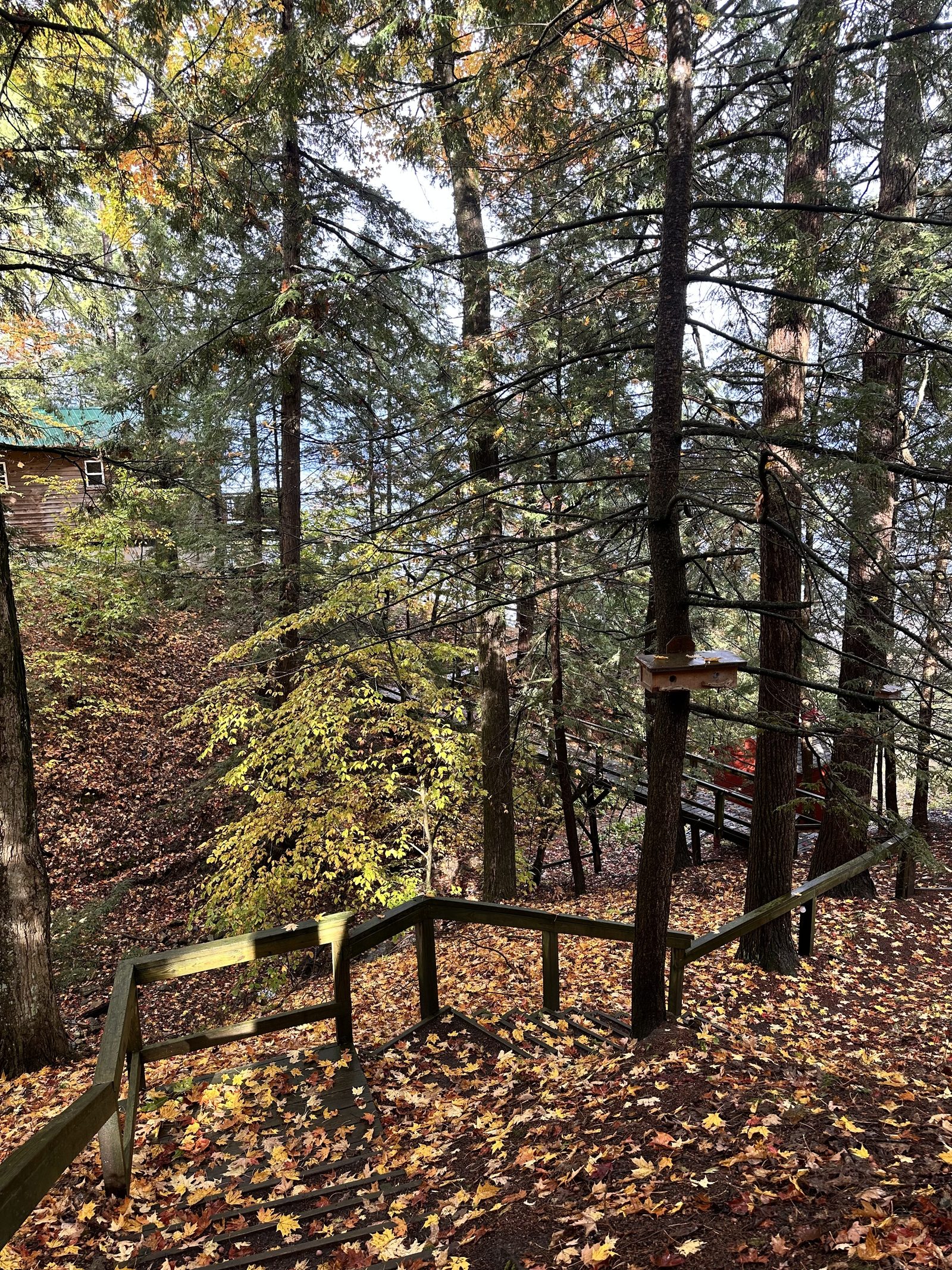 The footbridge over the creek, fall