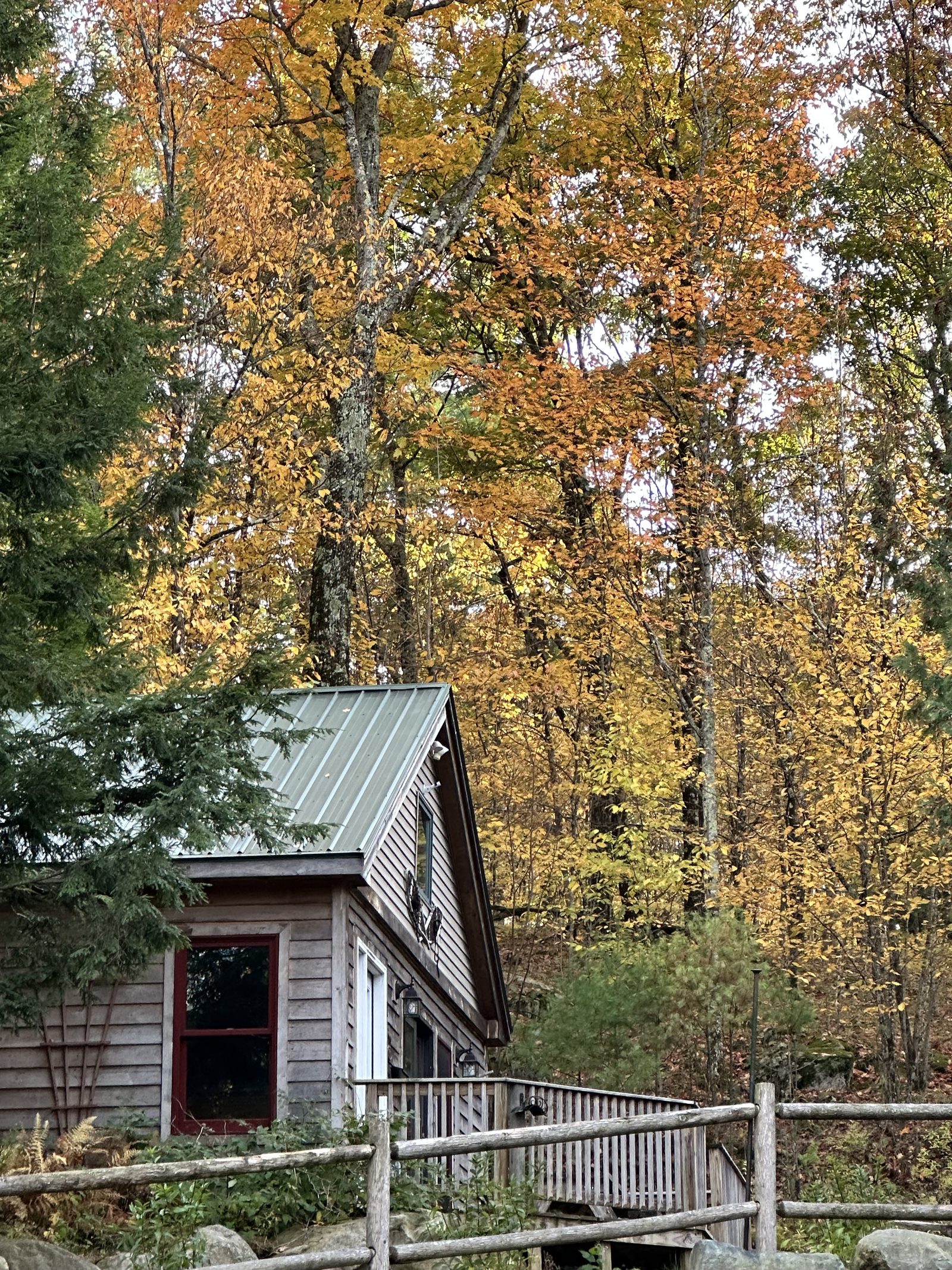 The Cabin, surrounded by fall color