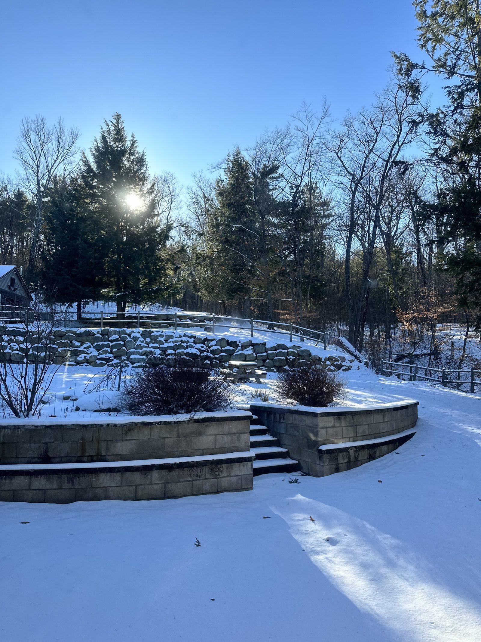 The front yard under snow