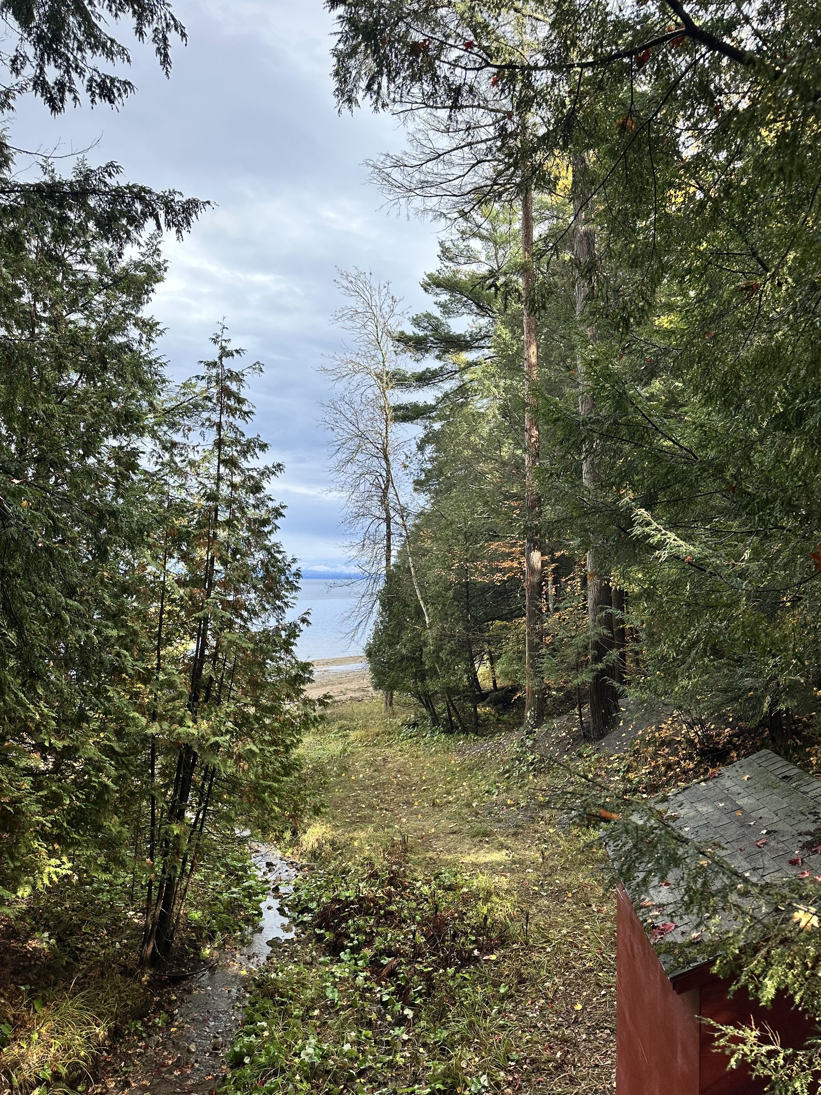 The path down to the beach, summer
