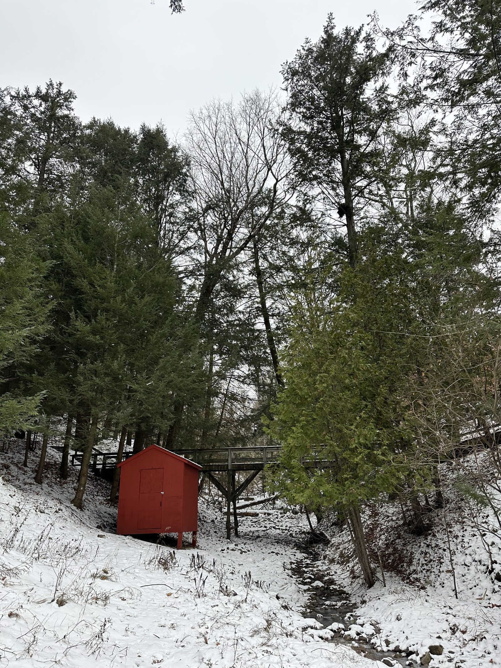 The shed and footbridge in the snow