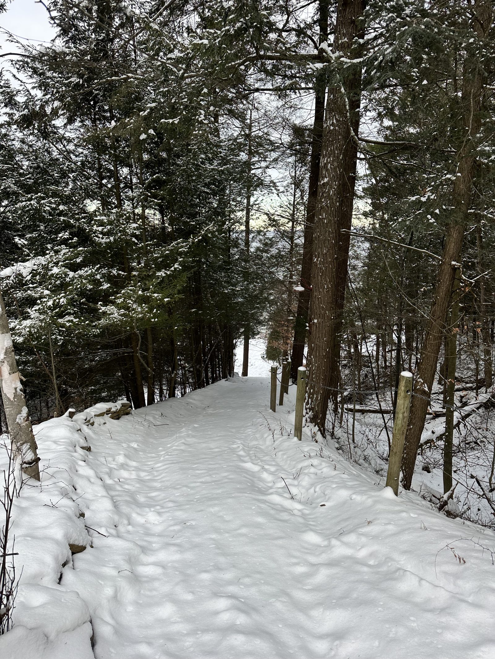 The same path, deep in snow